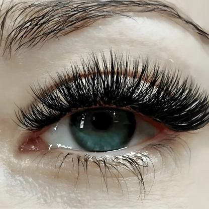 Magnetic Lashes | LashLuxe Magnetique